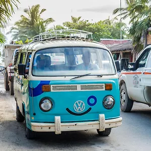 https://maricarmen-beach-hostal.allrivieramayahotels.com